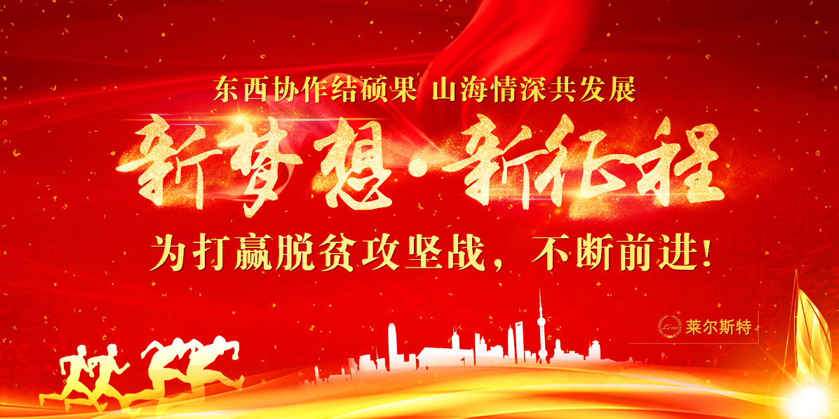 莱尔斯特（临夏）新能源有限公司_概况图2