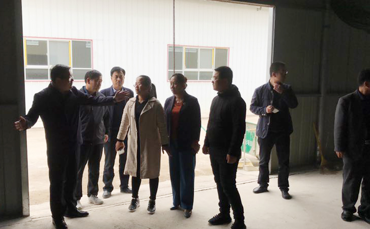 和政县领导莅临指导工作_图7
