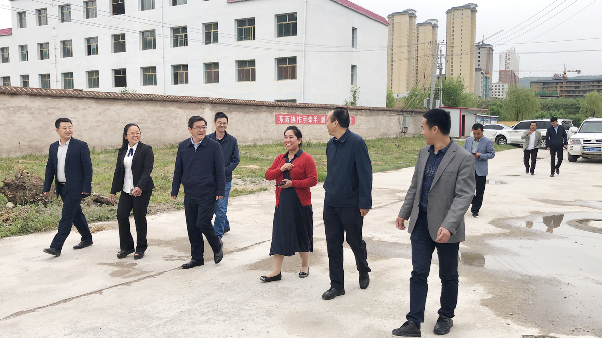 和政县领导视察工业园区图2