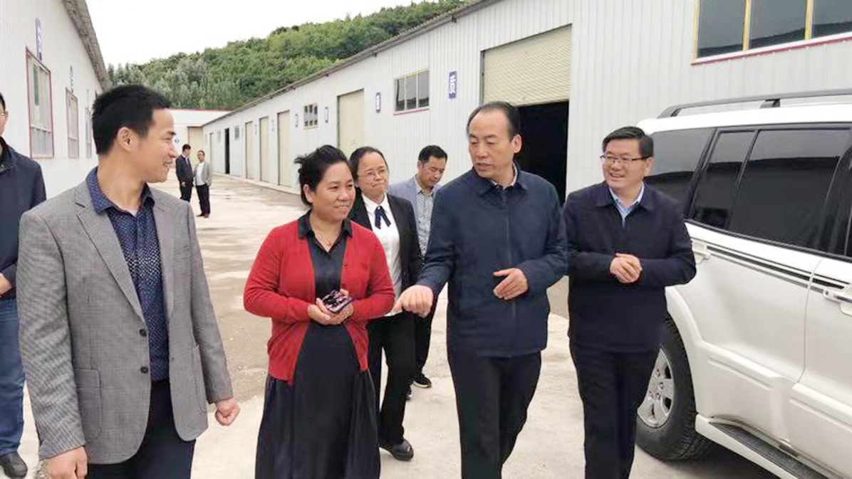 和政县领导视察工业园区图4