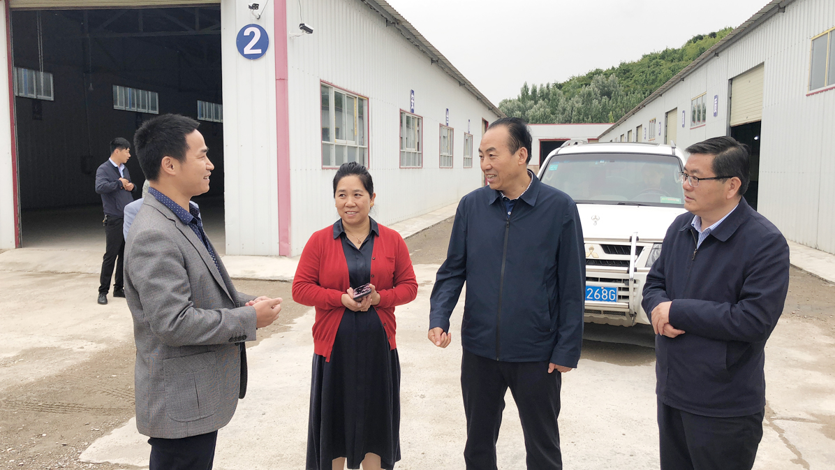 和政县领导视察工业园区图5